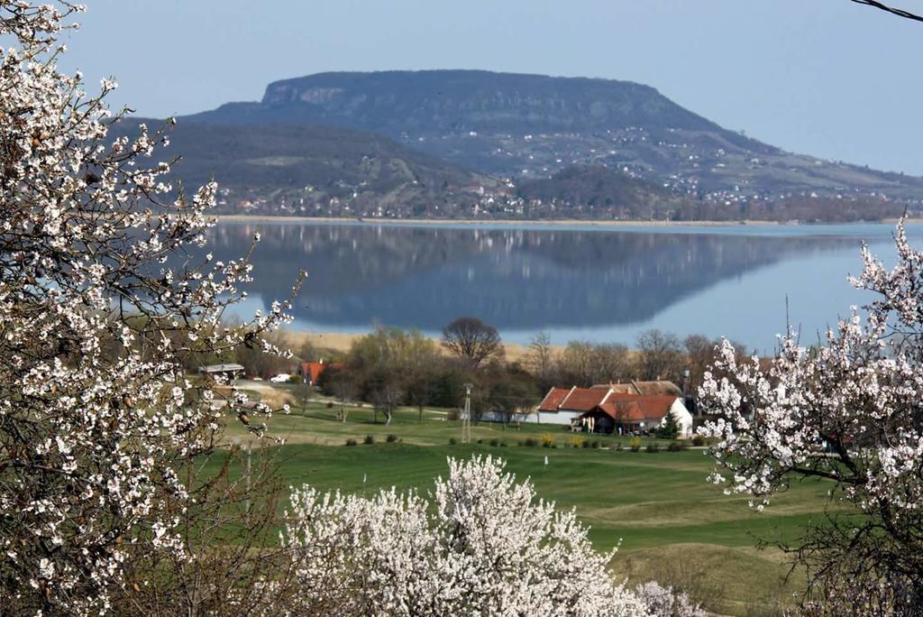 فندق Balatongyörökفي  Kincses Vendeghaz المظهر الخارجي الصورة
