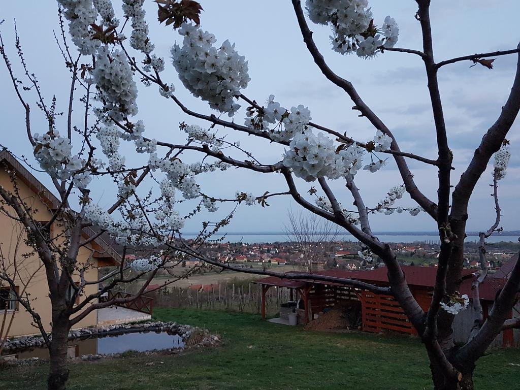 فندق Balatongyörökفي  Kincses Vendeghaz المظهر الخارجي الصورة